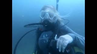 Shore Dive Right Off Our Very Own Home Port In Puerto Penasco