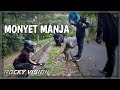 MENDADAK DATANG IKUTAN NGASI MAKAN MONYET | Motovlog Bali