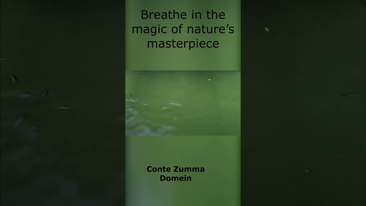 🌿✨ Wszystkiego najlepszego z okazji Dnia Przyjaźni! ✨🌿 9 5 din 10  00 12 30 000 00 12 45 000 seg051