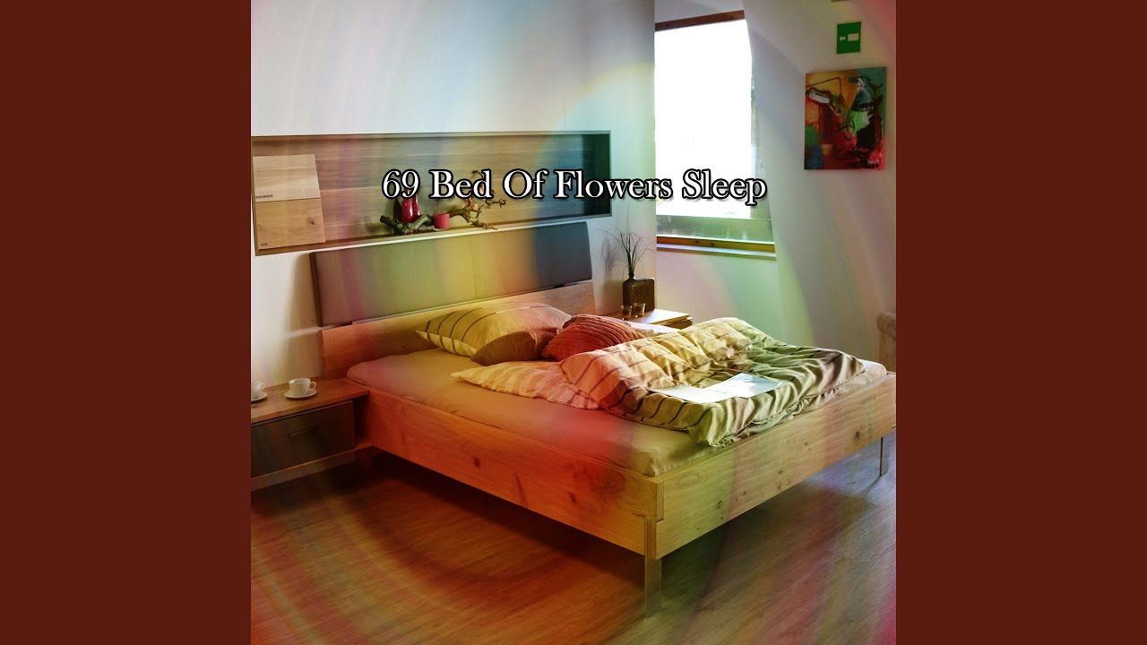 Supplement Of Sounds