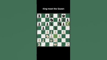 King meet the queen in an overwhelming square #chess #chesstutorials #chessgame #checkmate #fypシ