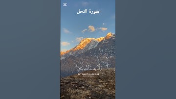 سورة النحل #اكسبلور #quran #لايك #القارئ عبد الرحمن مسعد