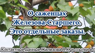 О саженцах Железова Старшего.  Это отдельные заказы.