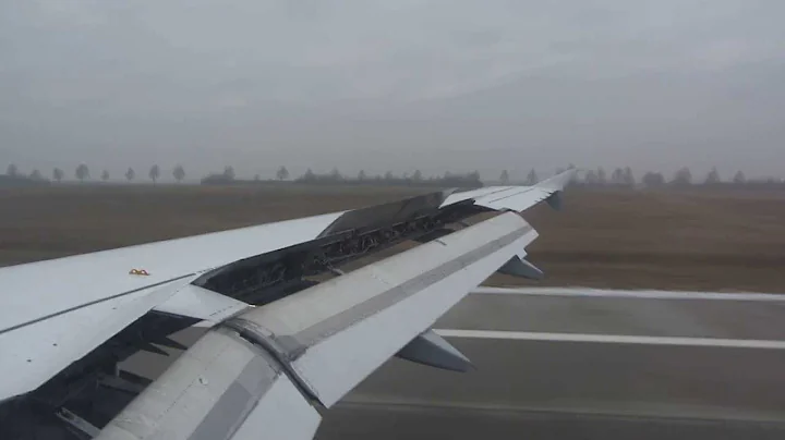 Lufthansa Airbus A319-100 landing at LeipzigHalle(LEJ) airport HD/3D