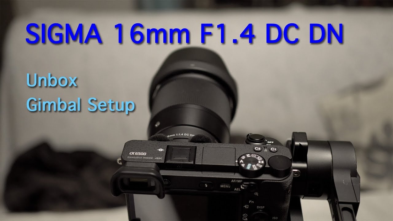 未使用に近い α6400 ILCE-6400Y シグマ16mm ショット数641 SONY α6400