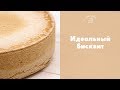 Как испечь пышный бисквит: советы + точный рецепт [sweet & flour]