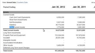 Other Stockholders Equity on the Balance Sheet