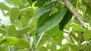 20120824 P1000016