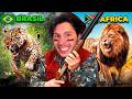 Viajei POR 10 PAÍSES pra CAÇAR ANIMAIS!! (The Hunter Call of the Wild)