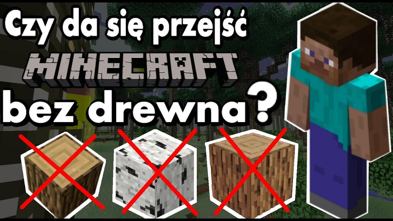 CZY DA SIĘ PRZEJŚĆ MINECRAFT BEZ ZBIERANIA DREWNA ???