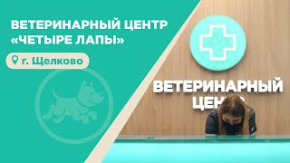 Ветеринарный центр “Четыре Лапы” в городе Щелково.