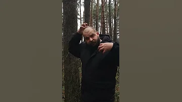 Что делать если напала РЫСЬ