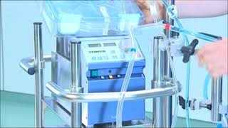 Maquet ECMO Priming