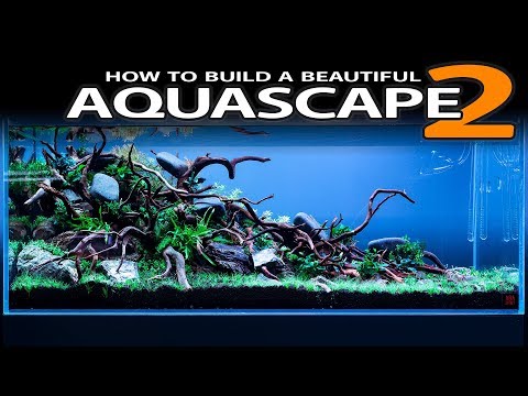 HOW TO BUILD A BEAUTIFUL AQUASCAPE EASILY - PLANTING