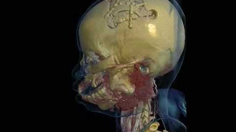 Hipax 3D Volume Renderer