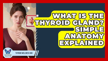 What Is The Thyroid Gland? Simple Anatomy Explained - Thyroid Wellness Hub