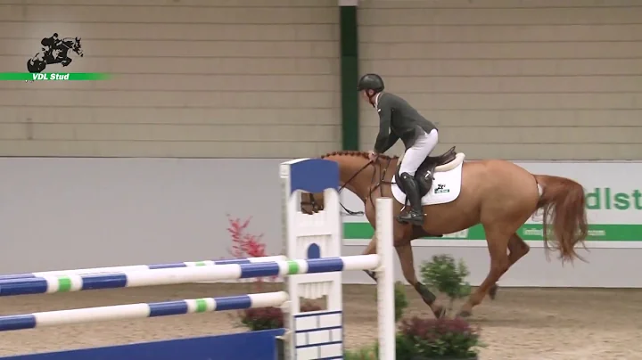 VDL Jack Daniels - WEF Sport Horse Auction 2020