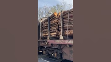 Colas railfreight class 56 passes level crossing with thrash