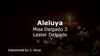 Video thumbnail of "Aleluya (Misa Delgado 3) Instrumental"