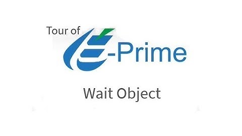 E-Prime 3 Tour: Wait Object