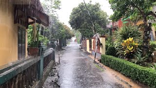 Heavy Rain and Thunder are Heard Every Day in the Village | ASMR Rain Sounds For Good Sleep