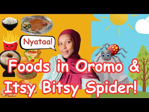 Learn Oromo With Mrs Chaltu Learn Food Names And Itsy Bitsy Spider Song