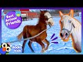 Can Rescuers Get These Nervous Horses To Make New Friends? | Dodo Kids | Best Animal Friends