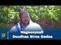 Nageenyaafi Duudhaa Sirna Gadaa