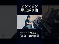 嫌でもテンションが爆上がる曲 #pianist #piano #shorts #ピアノ #ピアニスト #music #ショート #beethoven #ベートーヴェン #運命