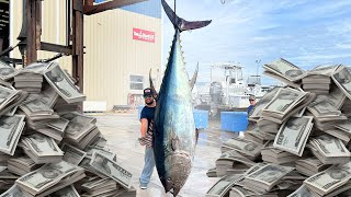 How Much Did This 10ft Tuna Sell For?