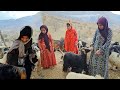 Joyful adventures of Fariba and Kosar with playful goats