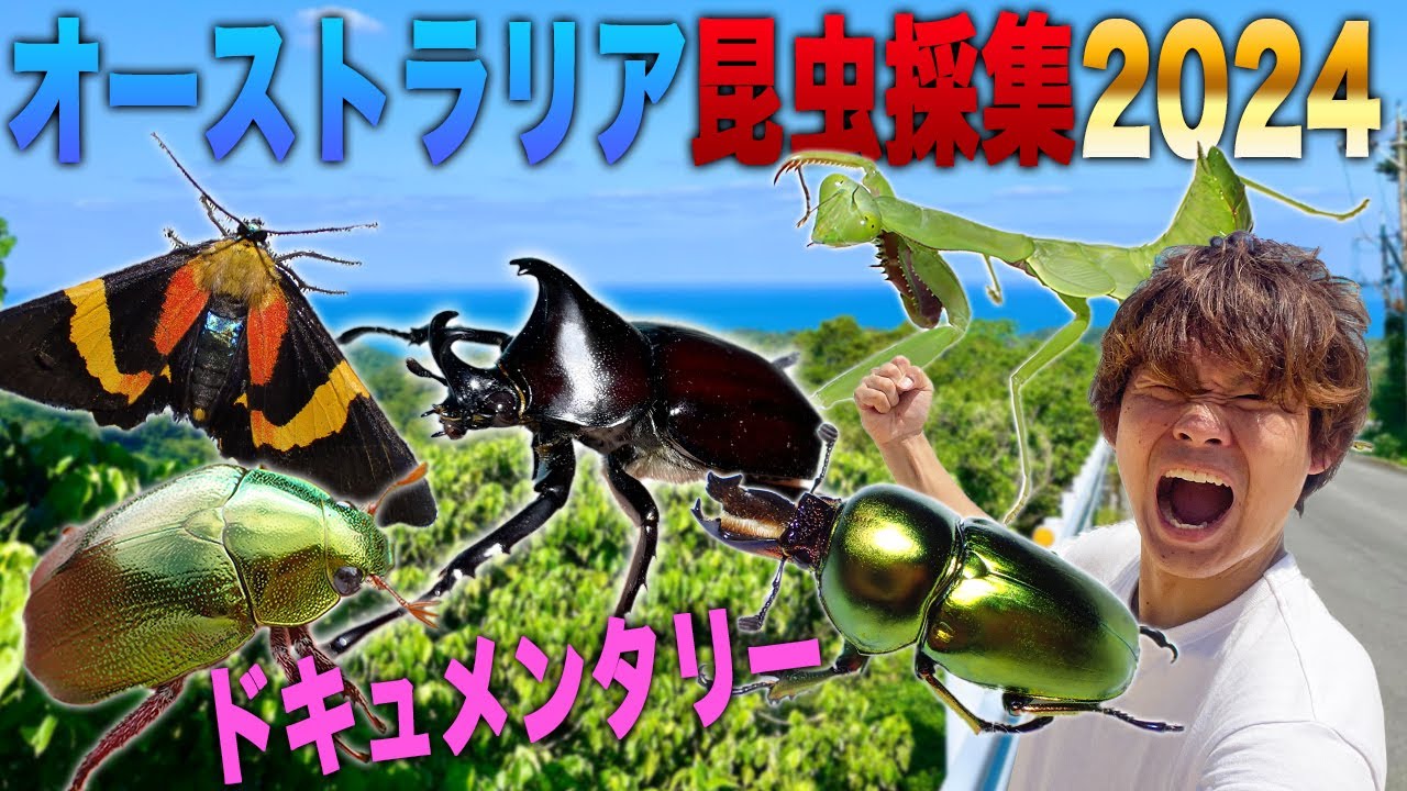蟲神器第四弾開封！ - YouTube