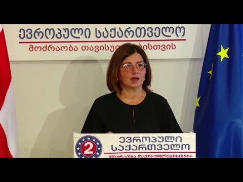 დიმიტრი გაბუნია დაკავებულია პოლიტიკური ნეპოტიზმით, დაინტერესდეს პროკურატურა - ირმა ნადირაშვილი