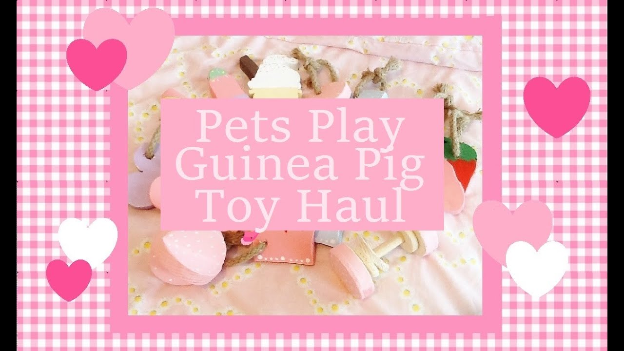 Pets Play Toy Haul 2015