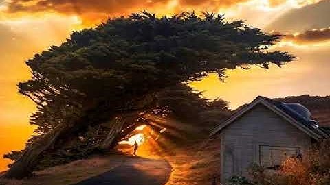 My world is empty without you maneater