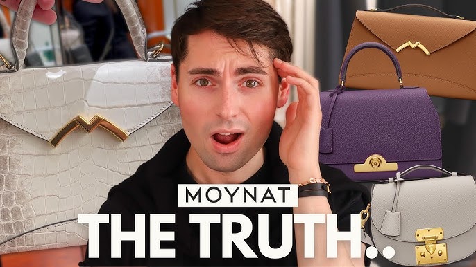 MOYNAT REJANE PM BAG REVIEW 