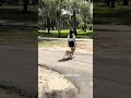 Riri no es la perra ideal para ser perro de servicio.