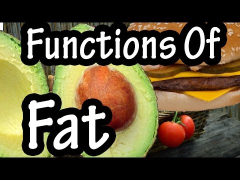 Video: What Are The Benefits Of Fat For The Body?