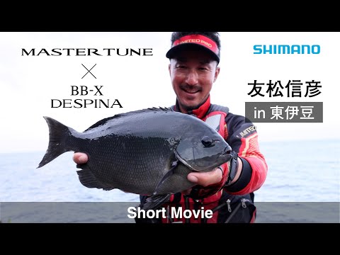 マスターチューン×BB-Xデスピナ ｜ 友松信彦 in 東伊豆【磯釣り】