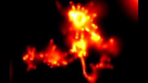 Lipid Bilayer Morphology with High Surface Area