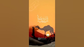 إبداع القارئ طارق محمد...♥️🤍.. قرآن كريم..