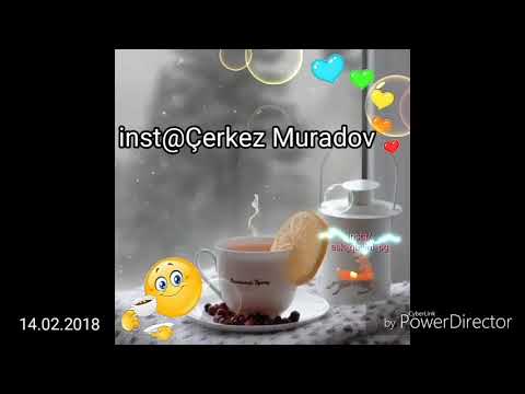 “QARŞILIQSIZ SEVGI\