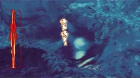 E3 09 Aliens Vs Predator Trailer