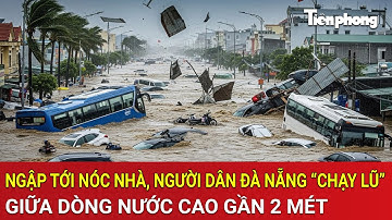 Ngập tới nóc nhà, người dân Đà Nẵng “chạy lũ” giữa dòng nước cao gần 2 mét