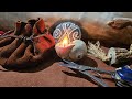 Making a Primitive Snail Shell Candle #Bushcraft