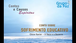 Sofrimento Educativo - Lição da Vaca e o Bezerro - Contos e Causos Espíritas - Chico Xavier