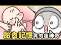 胎內記憶|動畫|胎教|好笑|親子|育兒|你相信胎內記憶的存在嗎?|耍花招|花花世界