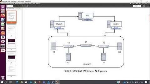 SDN Based Intrusion Prevention System Demo