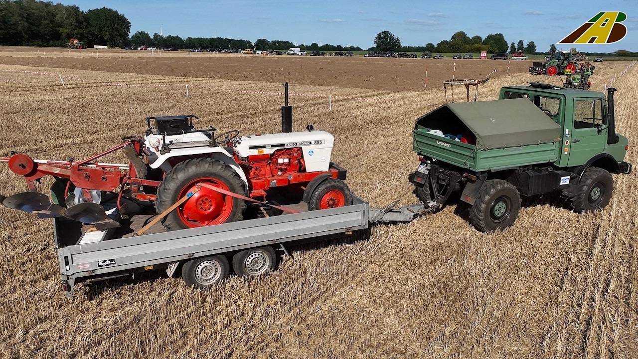 Wettkampf der Traktoren & Pflüge - 50 Pflüger pflügen im Wettbewerb Meisterschaft der Landwirtschaft