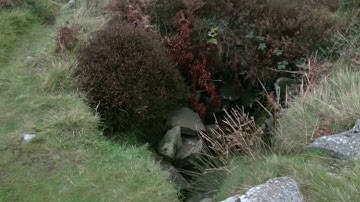 Chûn Castle Well - Ancient Penwith